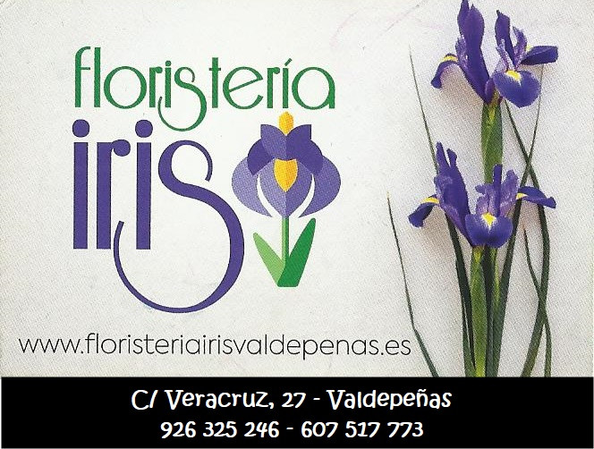 LOGO FLORISTERIA IRIS NUEVO