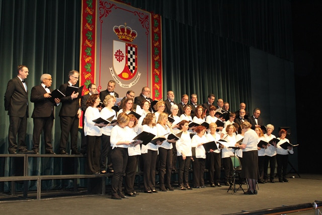 080418 VA CONCIERTO SINDROME DE SOTOS 3