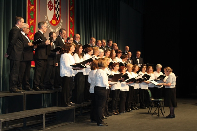 080418 VA CONCIERTO SINDROME DE SOTOS 4