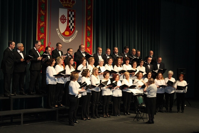 080418 VA CONCIERTO SINDROME DE SOTOS 6