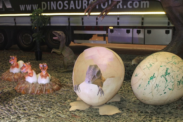 120518 VA DINOSAURIOS 13