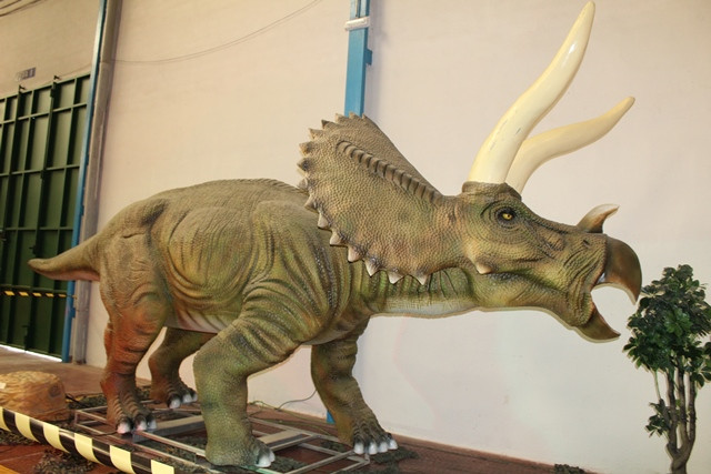 120518 VA DINOSAURIOS 17