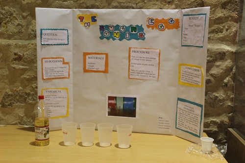 FERIA CIENTIFICA 8