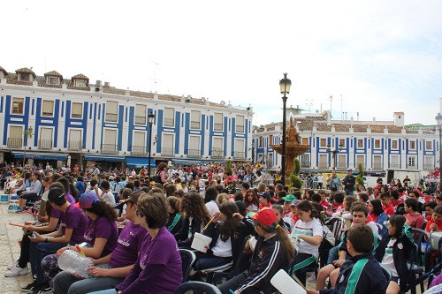 Concierto 11