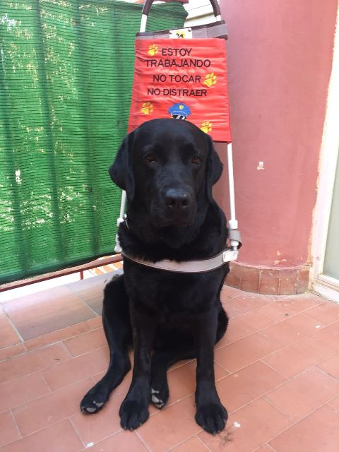 230618 VA ISIDRO SANCHEZ 1