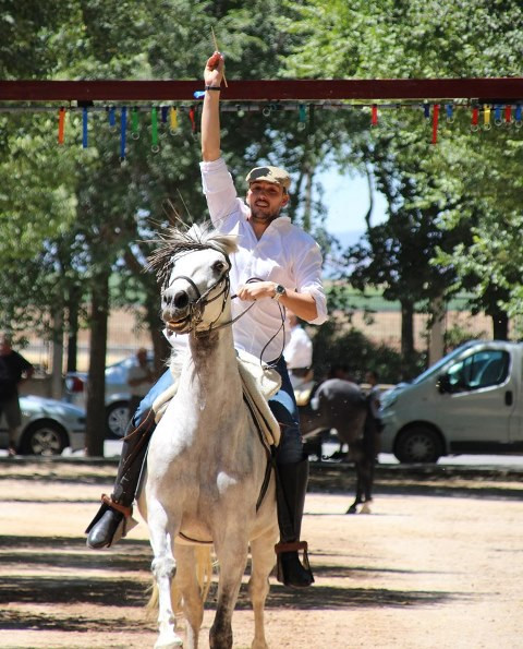 300718 sol caballos