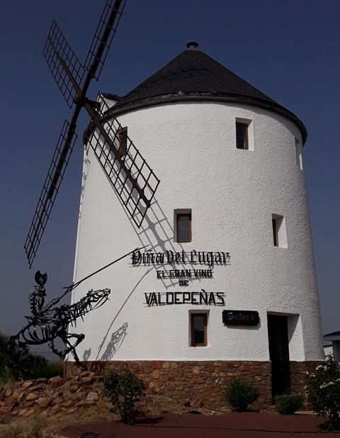 210818 VA MOLINOS 6
