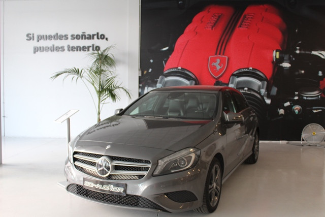 SG MOTOR 1