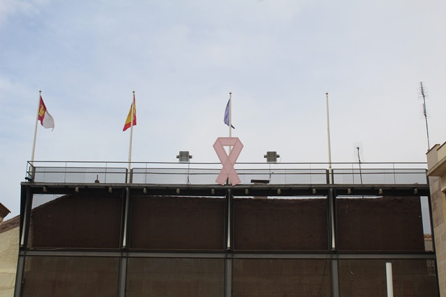 181018 va lazo rosa 2