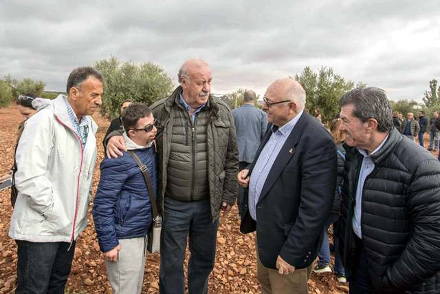 281018 VA ACEITE