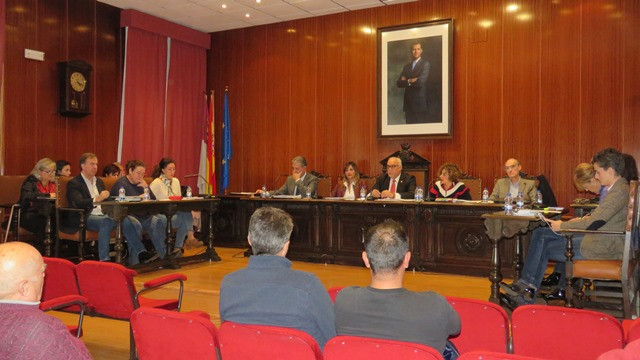 311018 MANZ PLENO