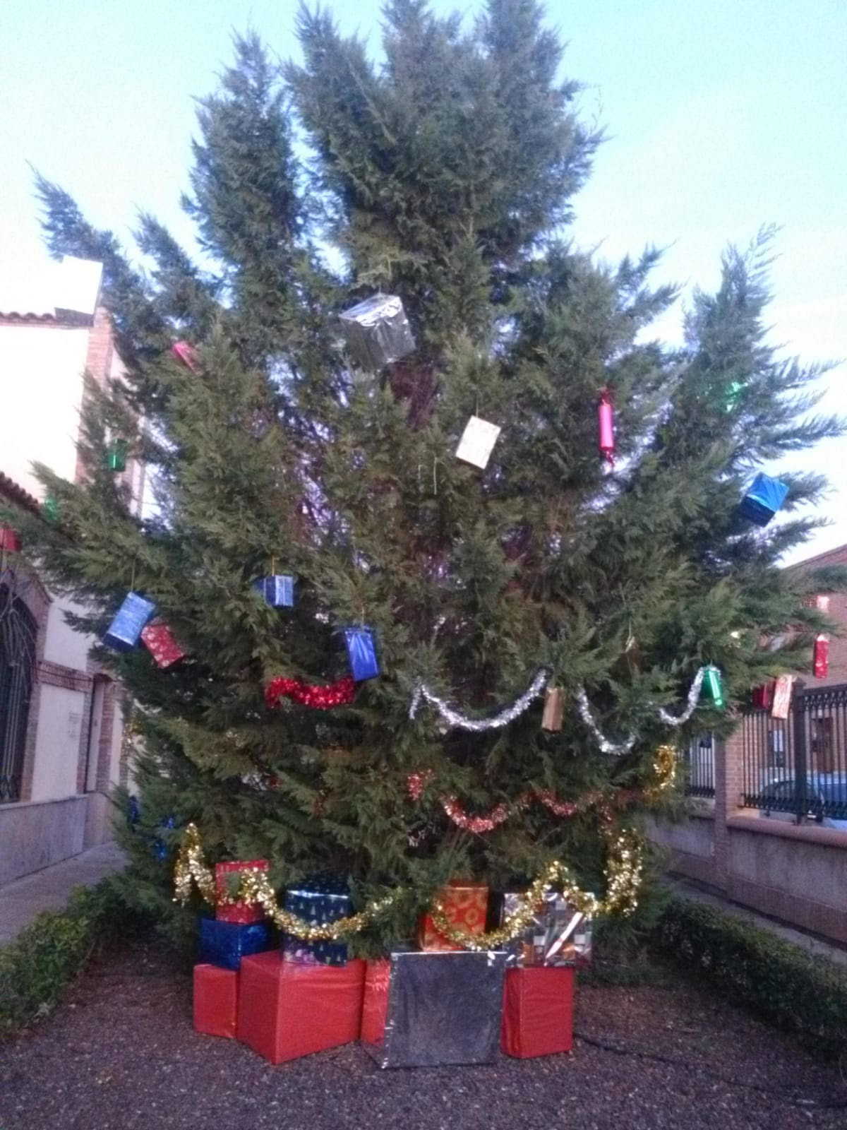161218 va concurso postres navideu00f1os asociacion vecinos fatima 11