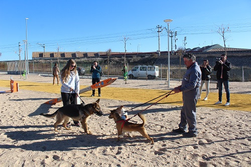 Parque 6
