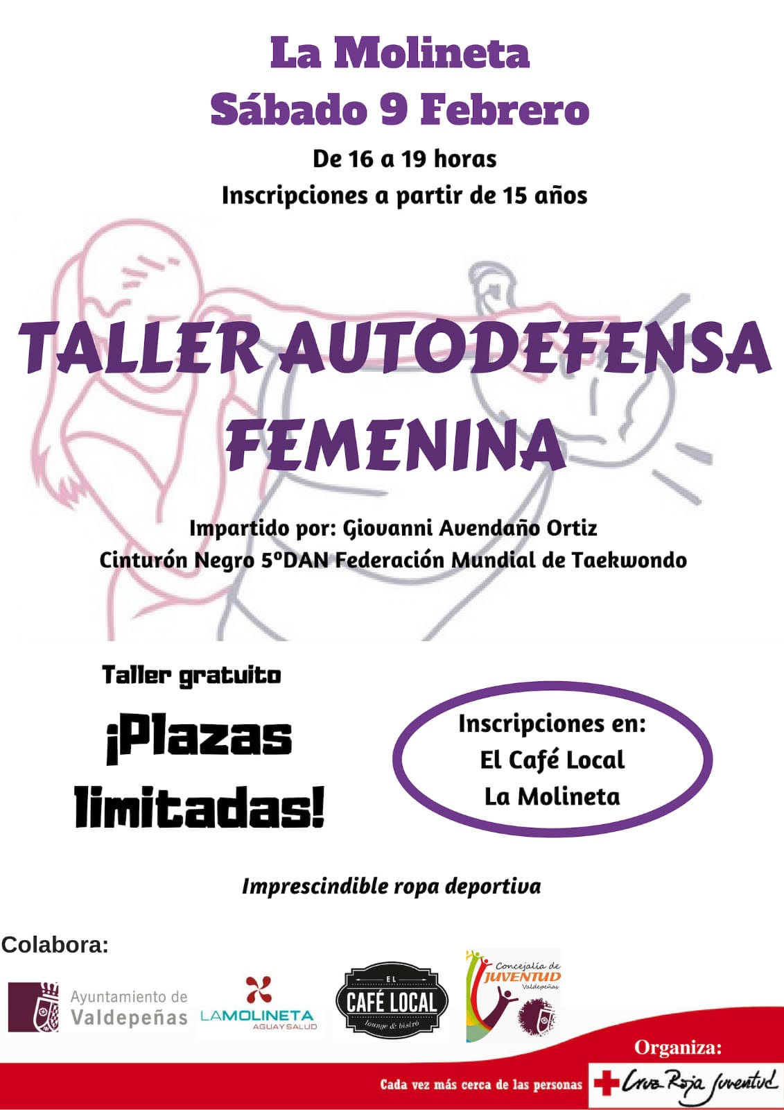 290119 va taller