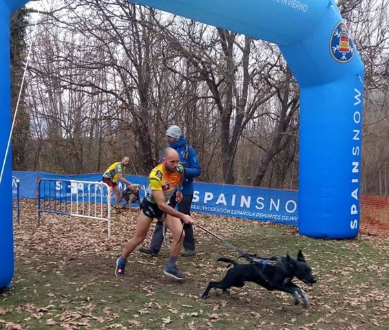 180319 va perro 1