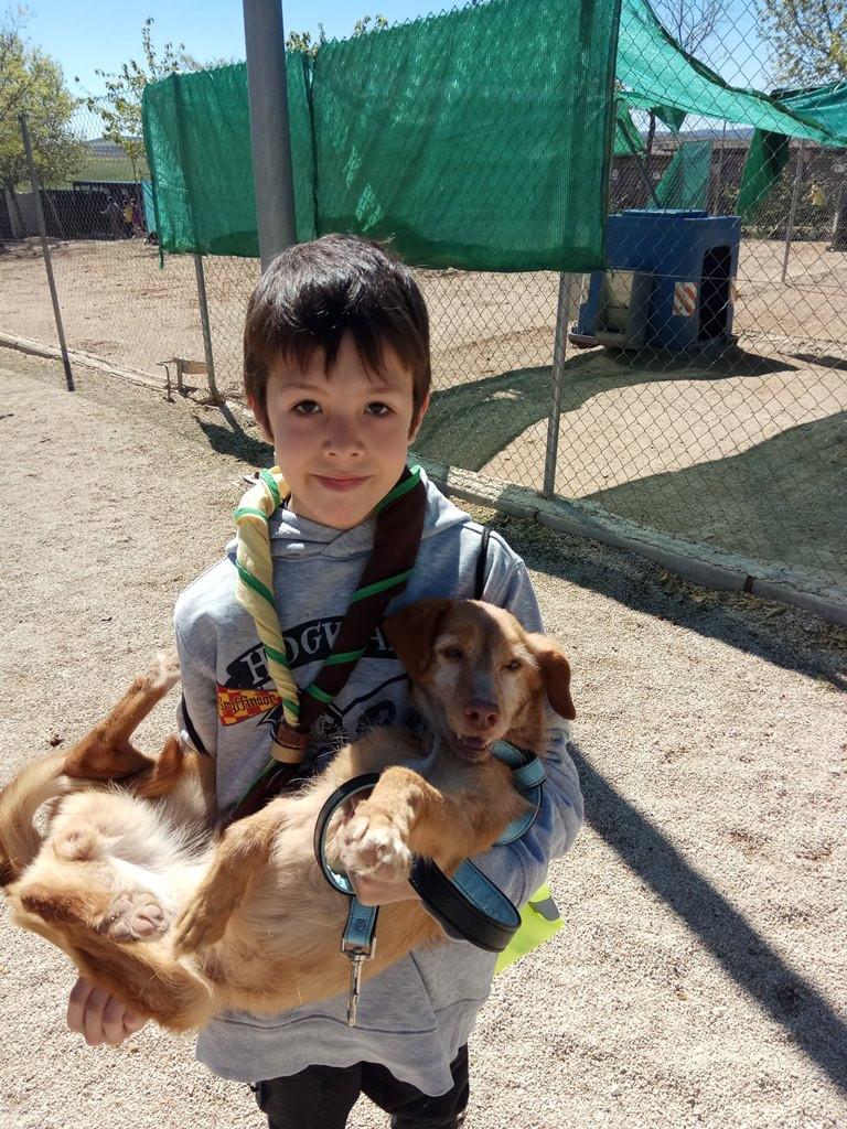 IMG 20190427 115131