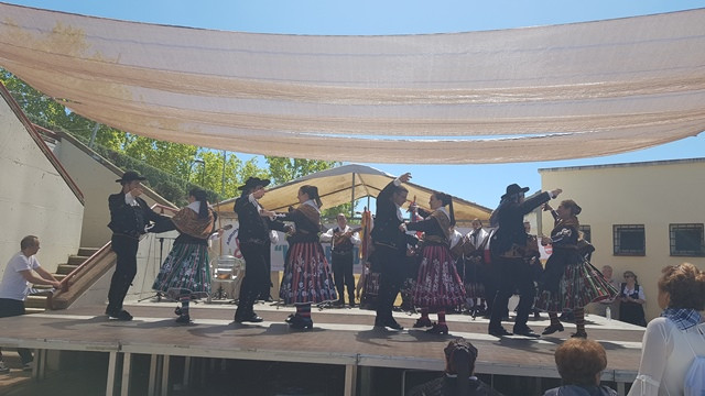 060519 va fermento 2