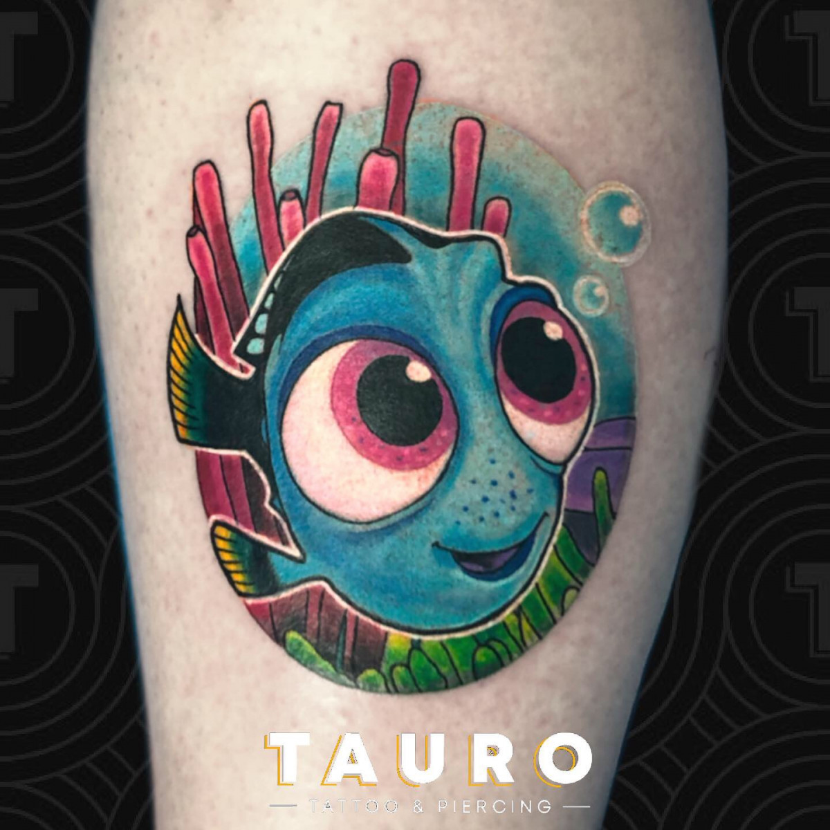 TAURO 3