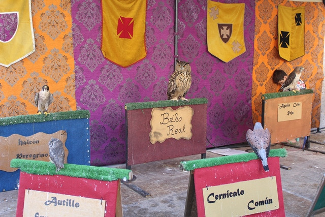 Mercado medieval 8