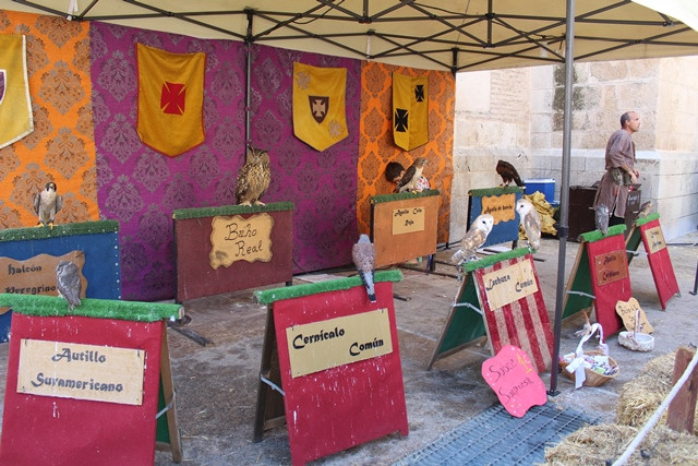 Mercado medieval 7