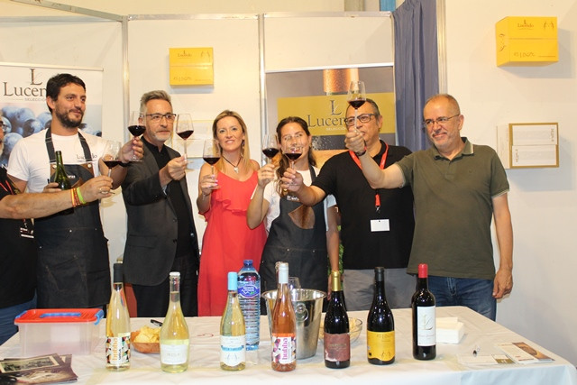 TUNEL DEL VINO 1