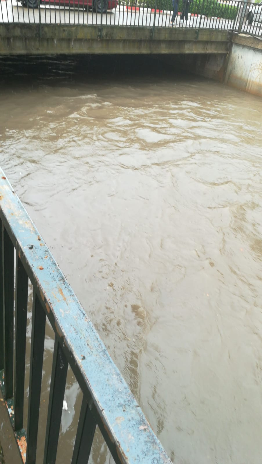 140919 VA LLUVIA 6
