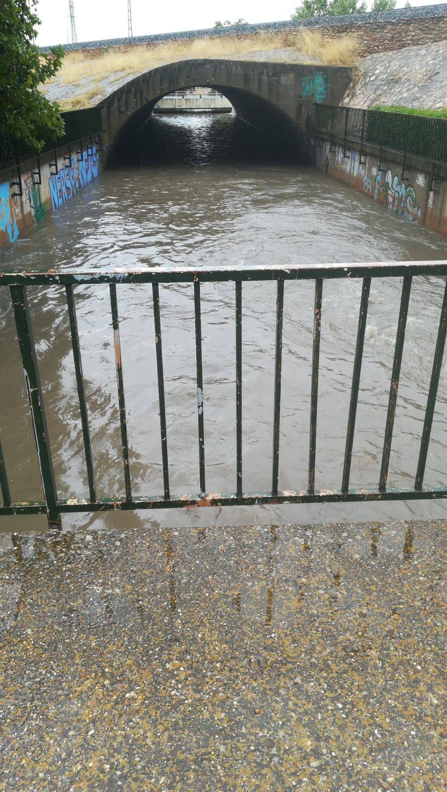 140919 VA LLUVIA 8