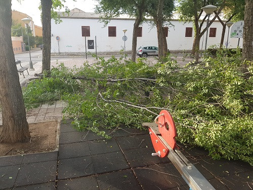 Arboles 3