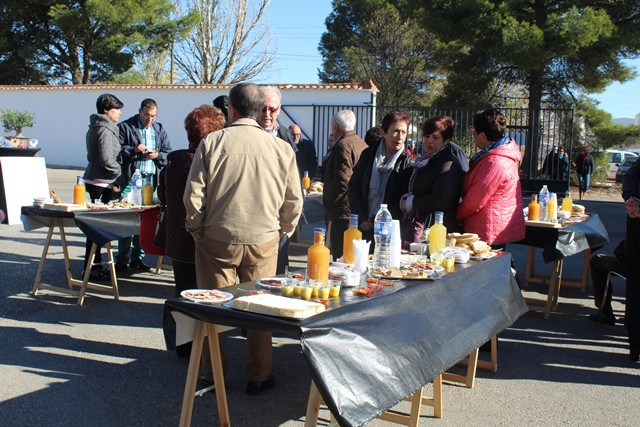 111117 VA FIESTA PRIMER ACEITE COLIVAL 6