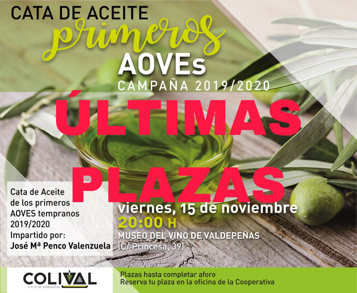 111119 va colival