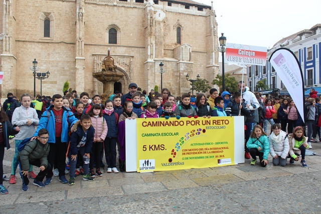 121119 VA MARCHA OBESIDAD 1