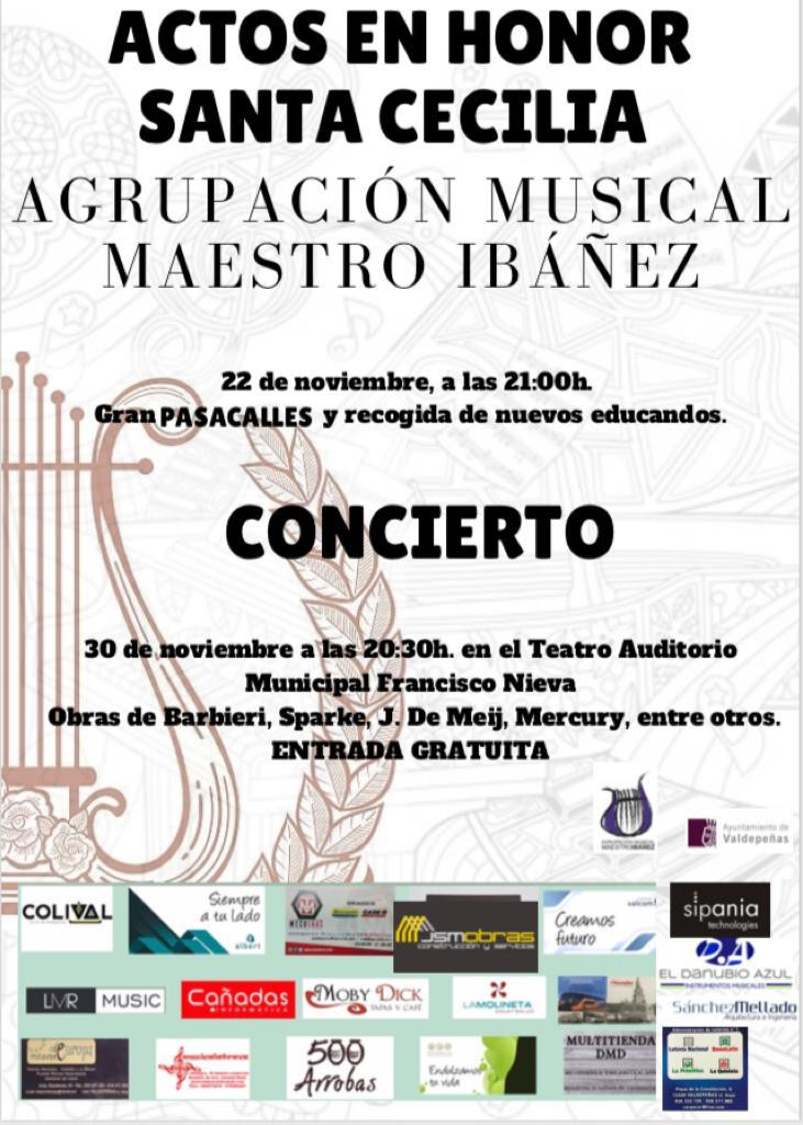 121119 VA CONCIERTO