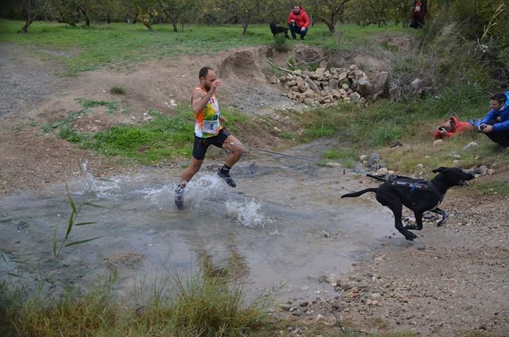 251119 VA PEDRO 4