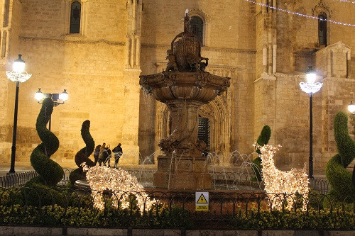 LUCES NAVIDAD 10