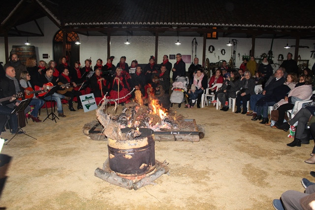 ZAMBOMBA 3