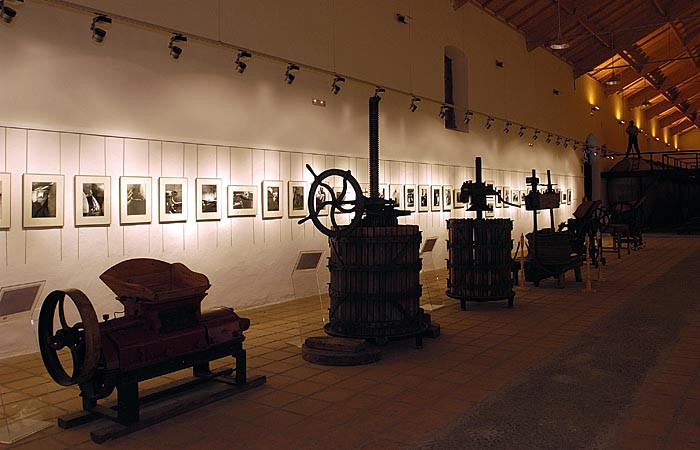 MUSEO DEL VINO 3