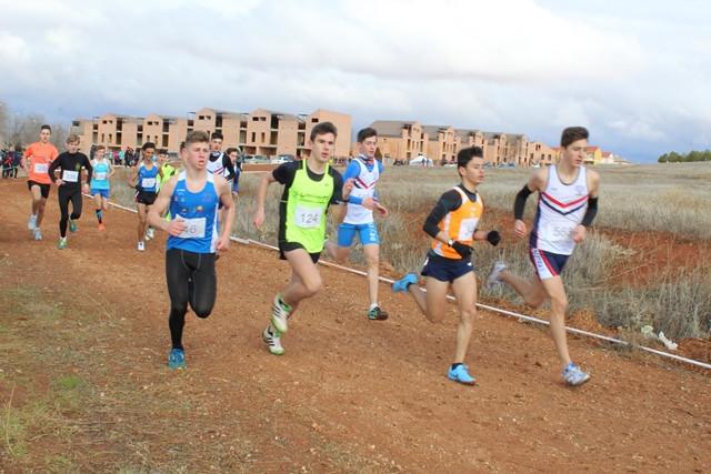 280118 VA CROSS 12