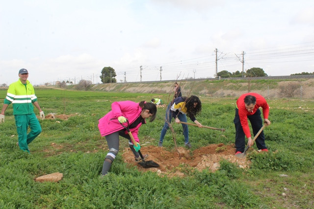 080220 VA IU PLANTACION 5