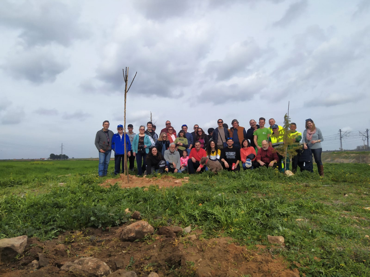 080220 va iu plantacion 7