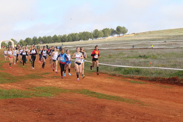 090220 VA CROSS 1