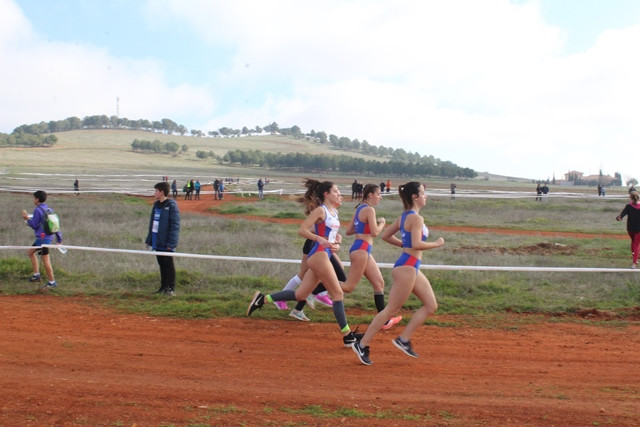 090220 VA CROSS 6