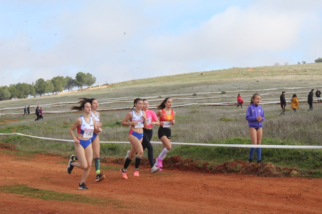090220 VA CROSS 5