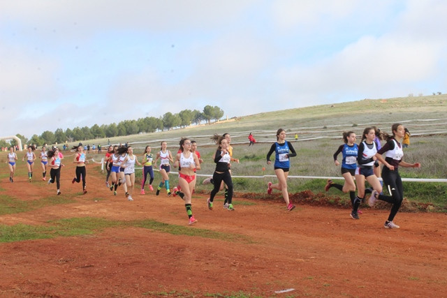 090220 VA CROSS 3