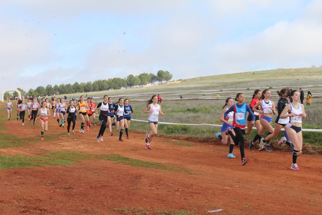 090220 VA CROSS 2