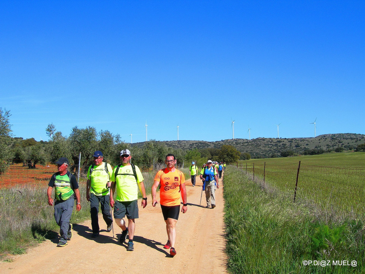 050320 manz ruta