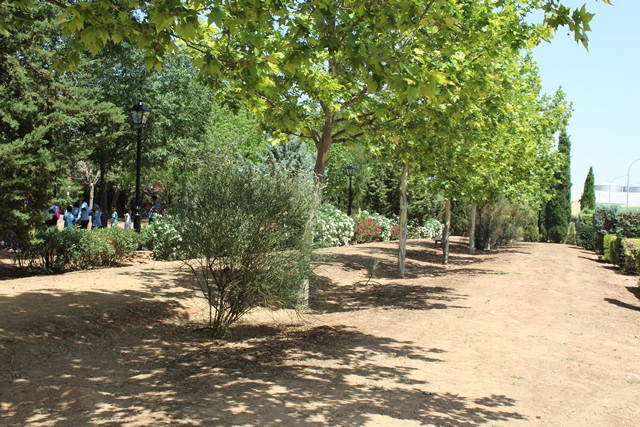 Parque
