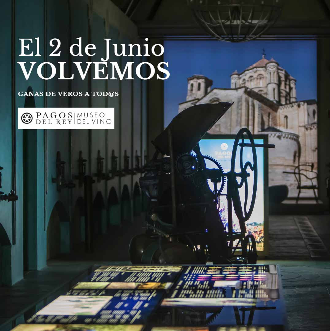 MUSEO VINO