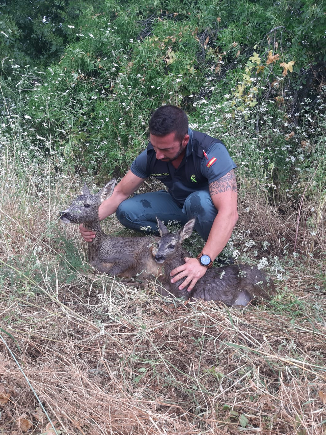 070720 cr guardia