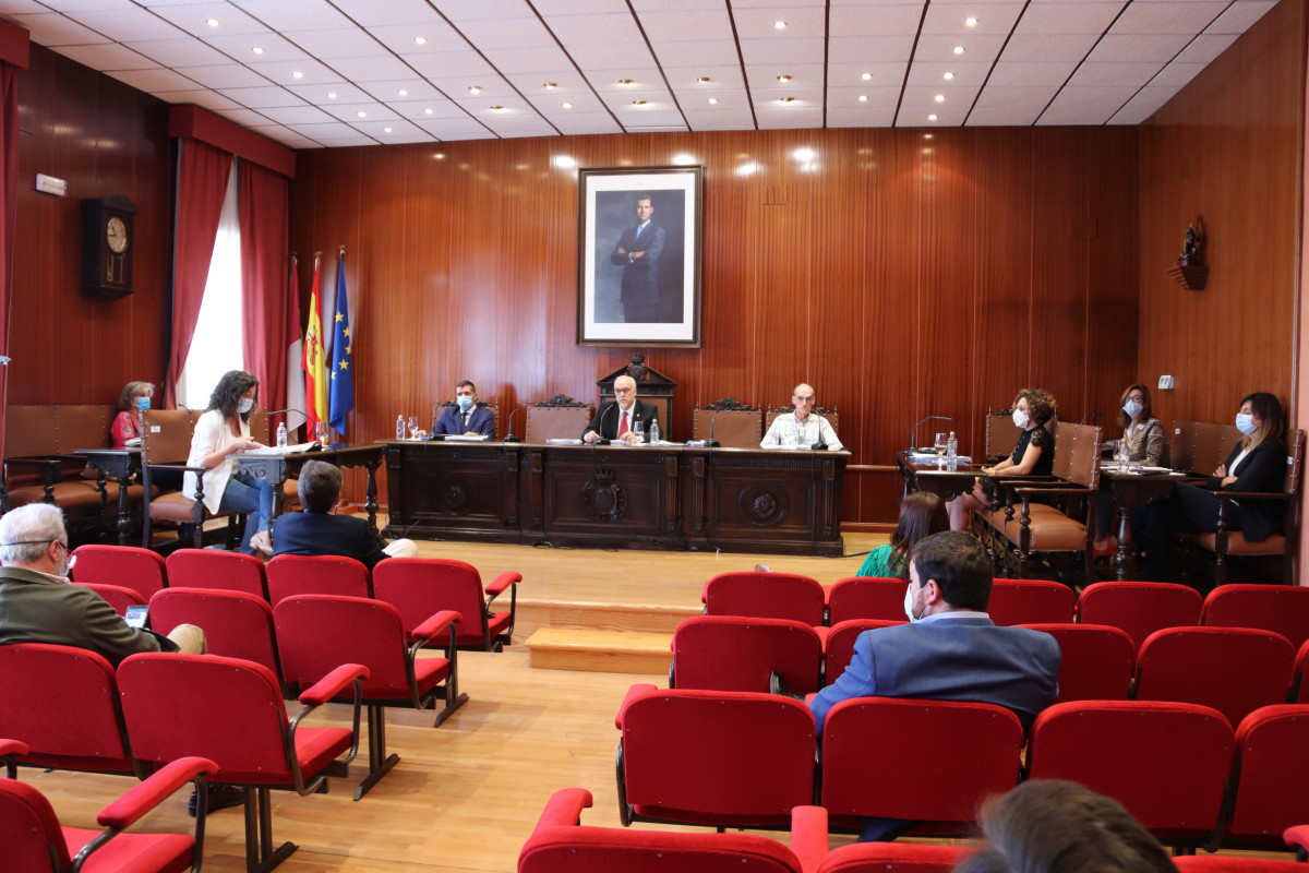 Pleno mayo 2020 (21)