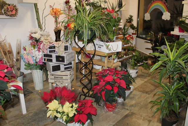 FLORISTERIA ANGELA 10
